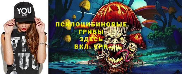 дживик Мегион
