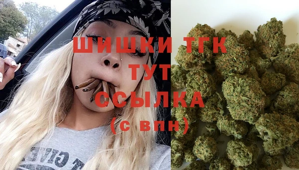 гашик Медвежьегорск
