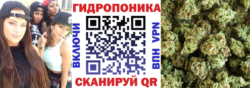 Марихуана VHQ  OMG онион  Почеп 